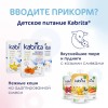 Молочная смесь Kabrita Gold 2, с 6 месяцев, на козьем молоке для комфортного пищеварения, 400 г