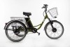 Электровелосипед FURENDO E-TRIKE 350, 350 вт