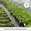 Садовая дорожка резиновая Alegria Top garden 2500х400х5 мм, черный с цветными вкраплениями