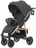 Детская коляска прогулочная BABY TILLY Eco T-166 Midnight Gray (золот.рама)