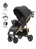 Детская коляска прогулочная BABY TILLY Eco T-166 Midnight Gray (золот.рама)