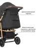 Детская коляска прогулочная BABY TILLY Eco T-166 Midnight Gray (золот.рама)